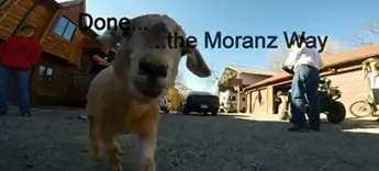 Done the Moranz Way - Moranz Family Video by Roy Moranz