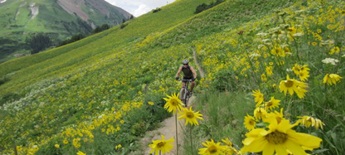 Roy Moranz mountain biking 401 Trail, Crested Butte Colorado
