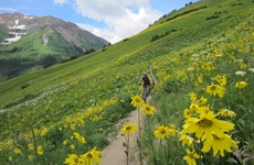 Picture of Roy in Crested Butte.